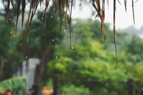 淋雨的人|你知道的，我喜欢下雨天